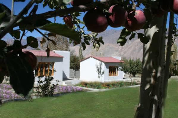 Himalayan Eco Resort Hundar Экстерьер фото