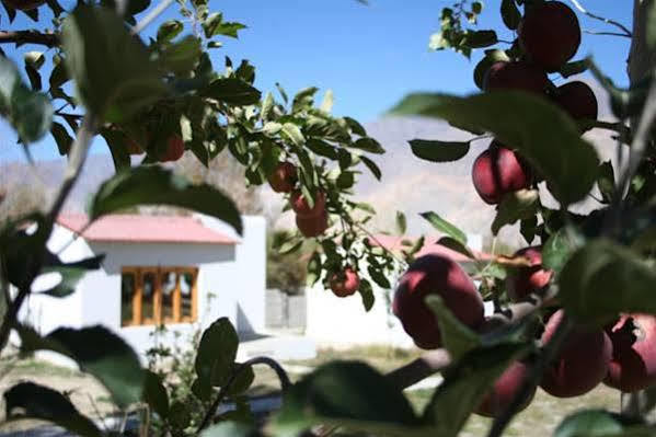 Himalayan Eco Resort Hundar Экстерьер фото